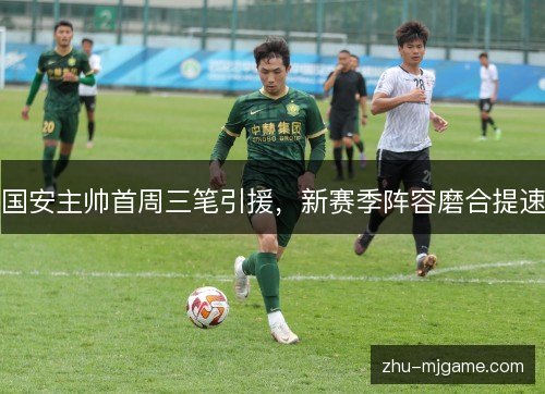国安主帅首周三笔引援，新赛季阵容磨合提速