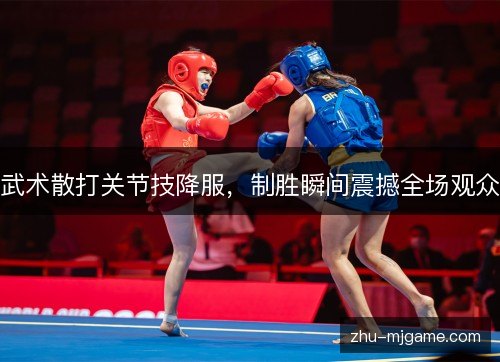 武术散打关节技降服,制胜瞬间震撼全场观众 武术散打关节技降服,制胜瞬间震撼全场观众
